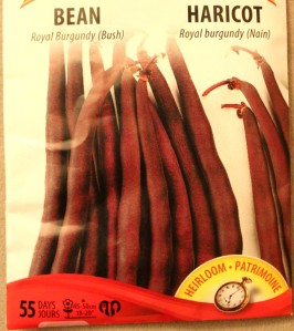 Red Pole Beans seed packet. 紅色四季豆種子包.
